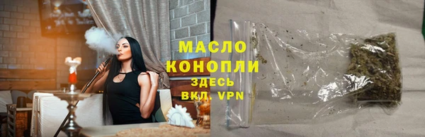индика Абаза