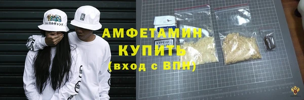 индика Абаза