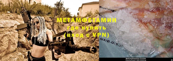 индика Абаза