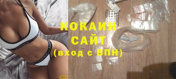 индика Абаза