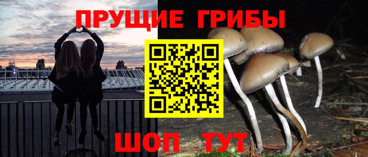 Псилоцибиновые грибы Magic Shrooms  Галлюциногенные грибы MAGIC MUSHROOMS  Ялуторовск  Вход с VPN 
